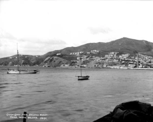 Looking over Wellington Harbour, towards Clyde Quay and Mt Victoria