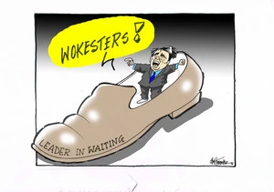 National Party MP Simon Bridges standing inside a large shoe labelled 'Leader in Waiting' cries out "Wokesters!".