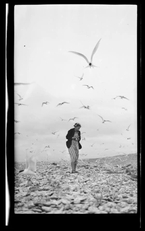 Woman walking among white fronted terns at Waitaki, Otago