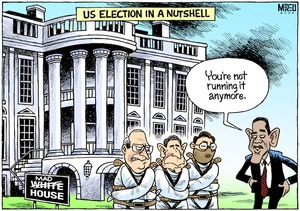 'US election in a nutshell.' "You're not running it anymore." 'Mad house.' 7 November, 2008.