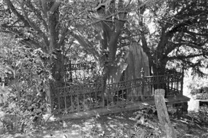 Rottermond family grave, plot 3701 Bolton Street Cemetery