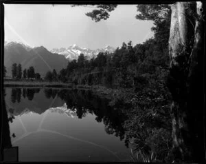 Gum trees at the lake shore, Te Anau