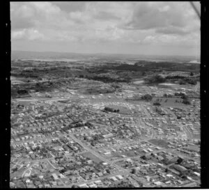 Milford, Auckland