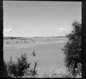 Tamaki River, Auckland