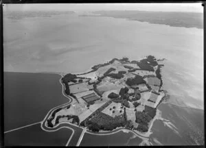 Puketutu Island, Manukau Harbour