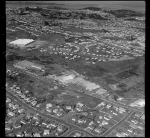 Mount Roskill, Auckland