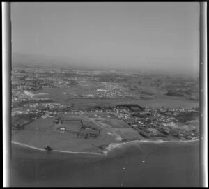 Tauranga