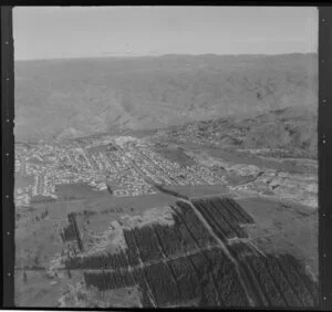 Alexandra, Central Otago