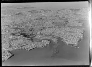 Auckland, general view at high altitude