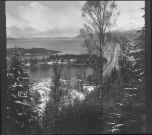 View of Queenstown and Lake Wakatipu through the trees