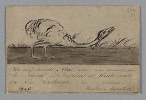 Mantell, Walter Baldock Durrant 1820-1895 :The unfortunate Moa, what was mired in the Slough of Despond at Waikouaiti in New Zealand. Anno Mundi??? 1849