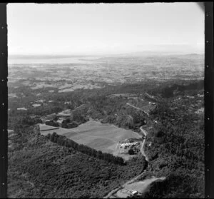 Waitakere Ranges near Titirangi, Auckland