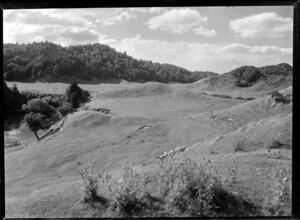 Rural scene near Kaituna River, Rotorua