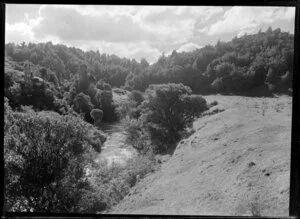 Rural scene near Kaituna River, Rotorua