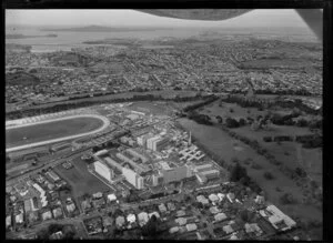 Epsom, Auckland, including Greenlane Hospital and National Women's Hospital