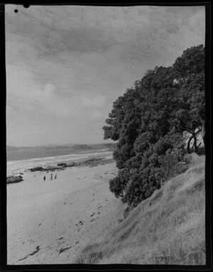 Cable Bay, Mangonui county