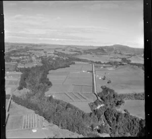 Cultivated land near Te Puke, Bay of Plenty