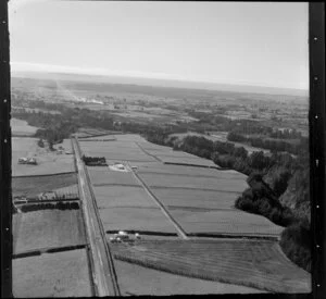 Cultivated land near Te Puke, Bay of Plenty