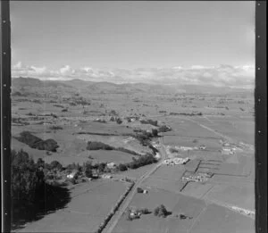 Totara, Thames-Coromandel district