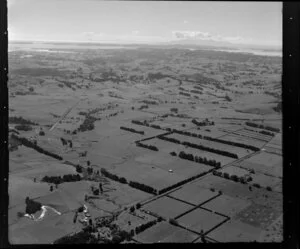 Bingham Farms Ltd, Alfriston, Auckland