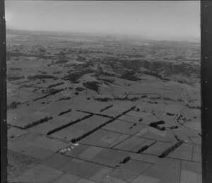 Bingham Farms Ltd, Alfriston, Auckland