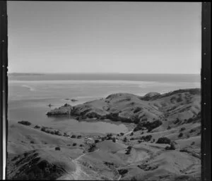 Coromandel Harbour