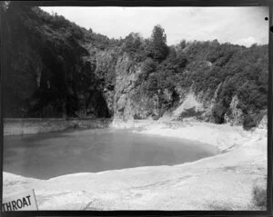 Waimungu Thermal Pool, Rotorua