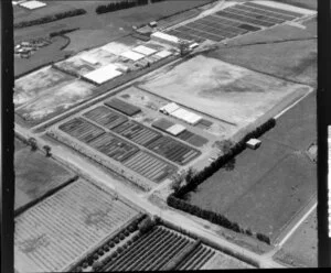 Agricultural area, Whenuapai, Waitakere city, Auckland, including premises of Trigon Agriculture Ltd