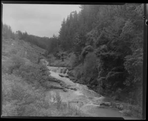 Topuni River, Rodney District, Auckland