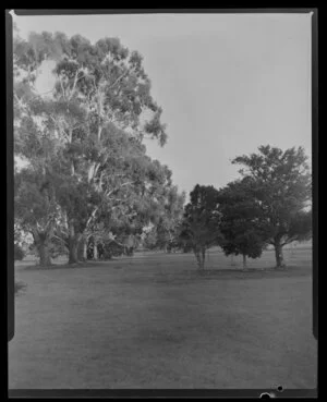 Thomas Park, Takapuna, Auckland