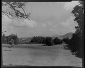 Farmland, Maungatapere, Whangarei