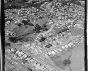 Housing Corporation of New Zealand development, [Miro?], West Auckland