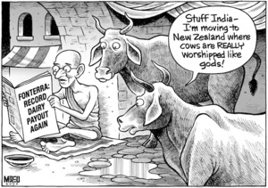 "Stuff India - I'm moving to New Zealand where cows are REALLY worshipped like gods!" 31 May, 2008