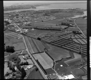 Rural Katikati, Western Bay of Plenty