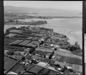 Omokoroa, Western Bay of Plenty