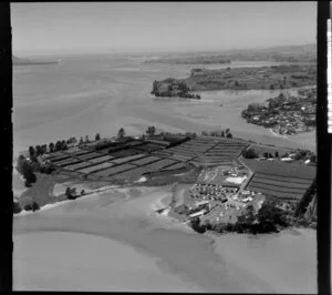 Mangawhai Bay, Omokoroa, Western Bay of Plenty