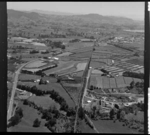 Rural Katikati, Western Bay of Plenty