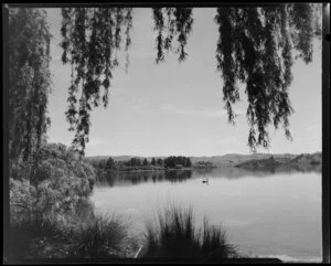 Lake Tutira, Hawke's Bay