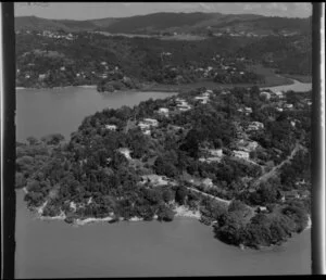 Little Muddy Creek and Perkins Bay, Titirangi, Waitakere, Auckland