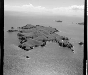 Rakino Island, Hauraki Gulf