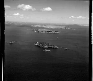 The Noises, Rakino Island, Motutapu Island, Hauraki Gulf