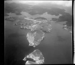 Nelson Island and Kaikoura Island, Great Barrier Island
