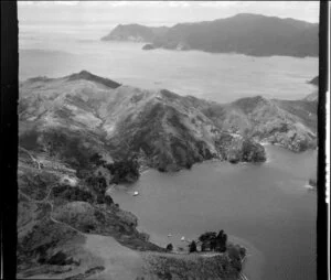 Nagle Cove, Great Barrier Island