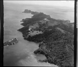 Kaikoura Island, Port Fitzroy, Great Barrier Island