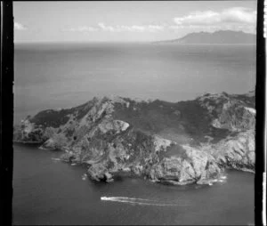 Motuhaku Island, Port Fitzroy, Great Barrier Island