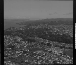 Blockhouse Bay, Auckland