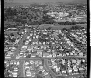 Greenlane, Auckland