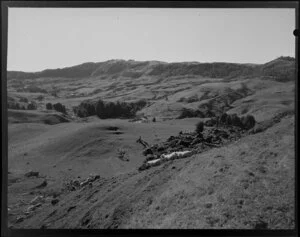 Farmland, King Country near Te Kuiti