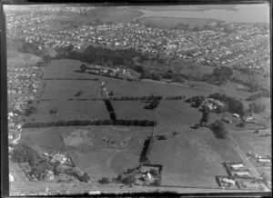 Oakley Hospital, for Auckland Hospital Board