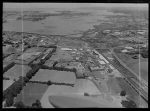 Westfield Freezing Company Ltd, Auckland